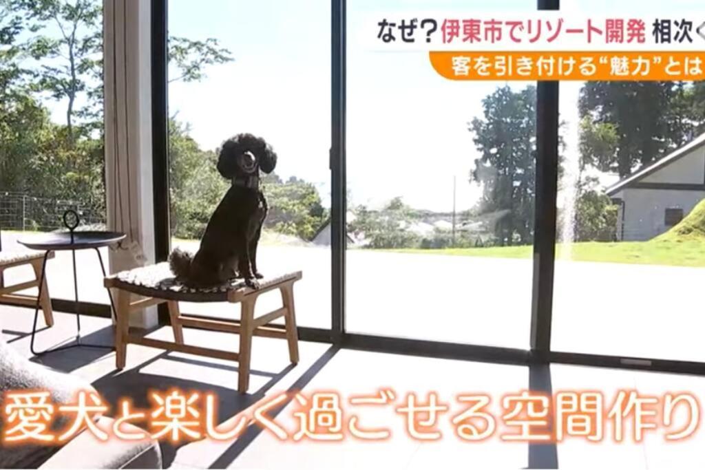 Doggo伊豆　愛犬と過ごす最高の時間の為に造られた貸切宿。温泉、プライベートドッグランで最高の一時を。 Villa Ito  Esterno foto