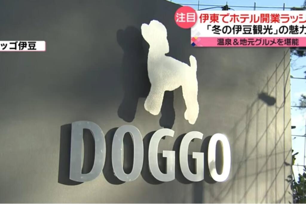 Doggo伊豆　愛犬と過ごす最高の時間の為に造られた貸切宿。温泉、プライベートドッグランで最高の一時を。 Villa Ito  Esterno foto